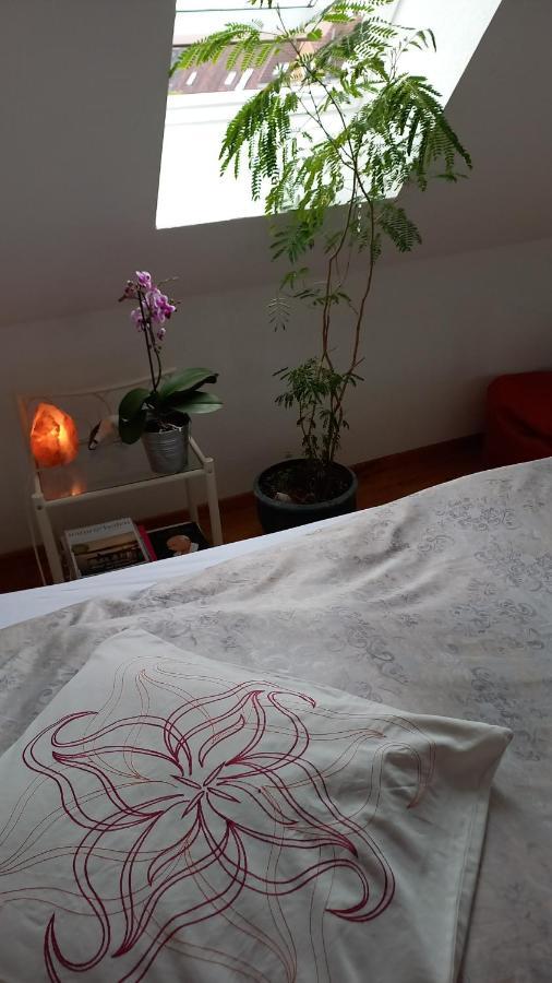 Agnes Vintage Home Hannover Buitenkant foto